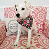 Black floral dog bandana shown on jack russell terrier