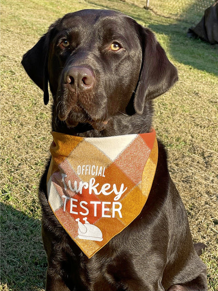 Dog Bandana, Pretzel