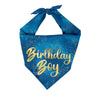 Birthday Boy Gold Foil
