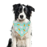 Easter Bunny & Carrots