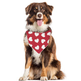 White Hearts on Red Valentine