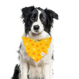Summer Sun Dog Bandana