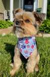 USA Paws Blue