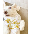 Birthday Queen Dog Bandana with Gold Glitter Vinyl and Stars
