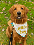 Birthday Boy Tie Dog Bandana