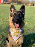 Happy Birthday Boy or Girl Tie Dog Bandana