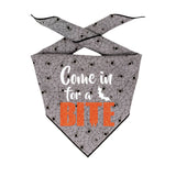 Come in for a bite Gray Spider Web Halloween Dog Bandana