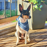 Blue Luxe Flannel Dog Bandana
