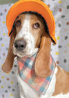 Peach Luxe Flannel Dog Bandana