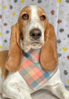 Peach Luxe Flannel Dog Bandana