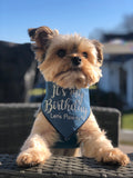 Birthday Dog Bandana Denim