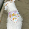 Birthday Girl Sprinkles Dog Bandana