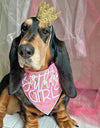 Contemporary Style Birthday Girl Tie Dog Bandana
