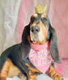 Contemporary Style Birthday Girl Tie Dog Bandana