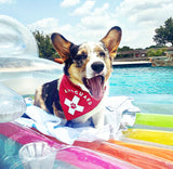 Fido Pet Lifeguard Dog Bandana