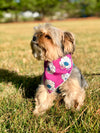 Purple Anemone Bandana