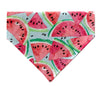 soft blue color with Sweet Watermelon slices Dog Bandana - Over the Collar Style in 5 Sizes | Free Ship 
