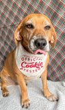 Cookie Tester Dog Bandana