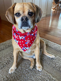 Patriotic Cute Dog Bandana