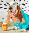 Orange/Blue Plaid Luxe Flannel Dog Bandana