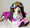 Winter Ski / Snowboard Dog Bandana