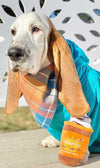 Orange/Blue Plaid Luxe Flannel Dog Bandana