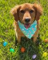 Teal Easter Egg Dog Bandana